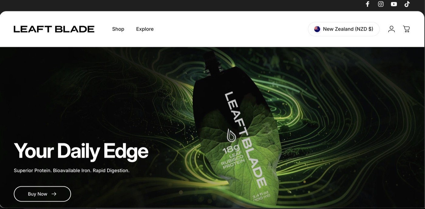Leaft Blade website